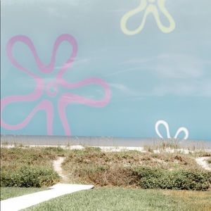 Meet your Posher, Delaney